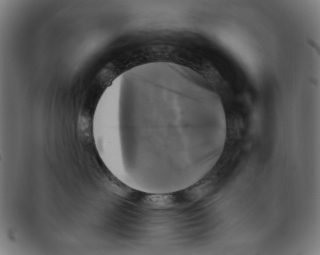 X0000098110526200804251430