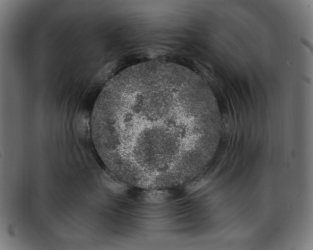 X0000098110527200804251430