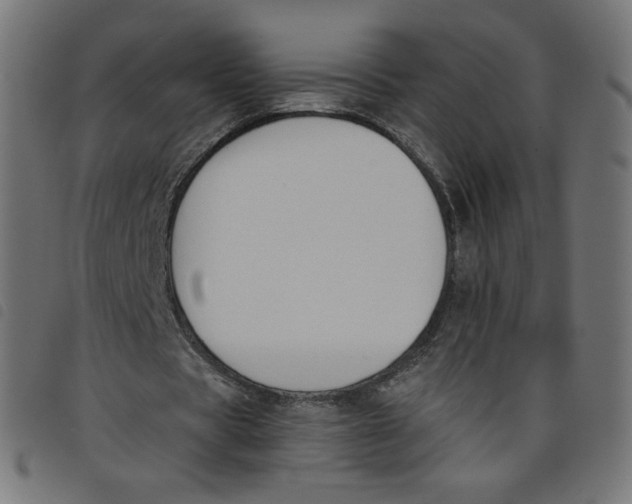 X0000098110529200804251430