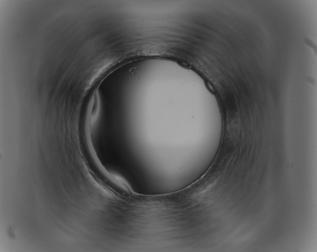 X0000098110530200804251430