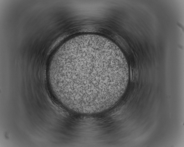 X0000098110531200804251430