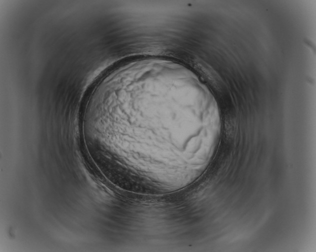 X0000098110532200804251430