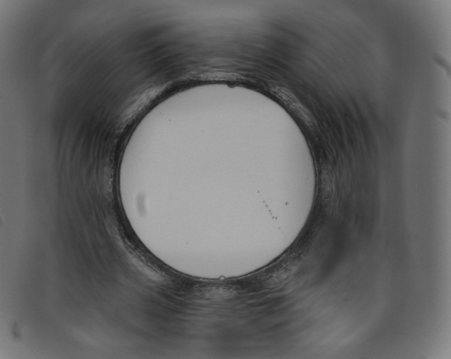 X0000098110533200804251430