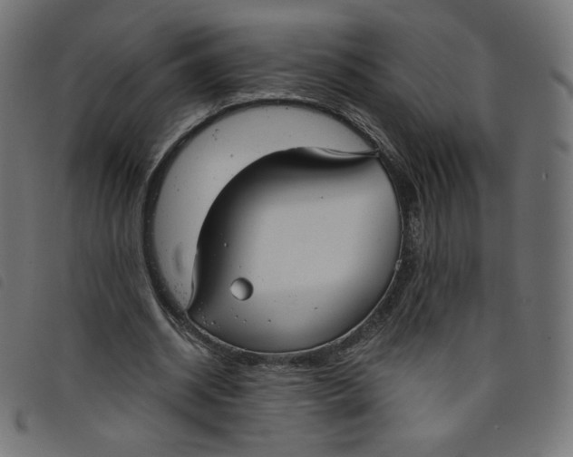 X0000098110534200804251430