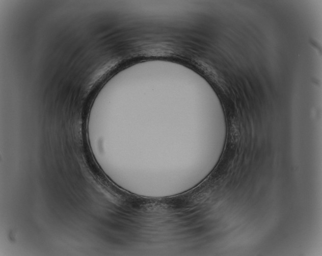 X0000098110535200804251430