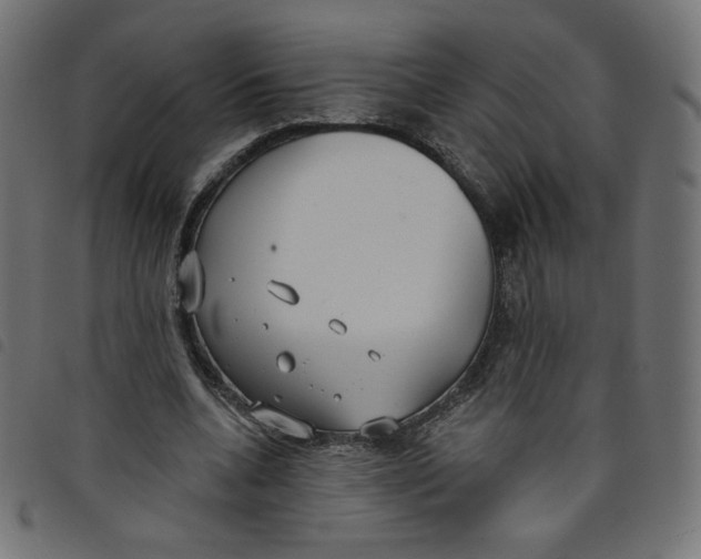 X0000098110536200804251430