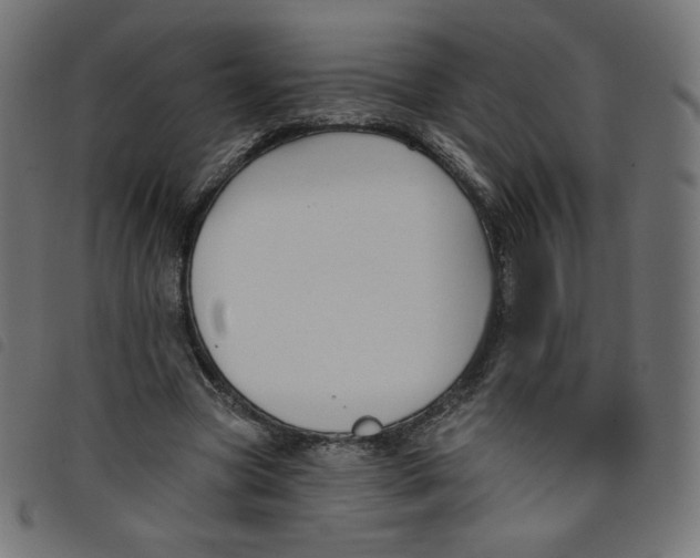 X0000098110537200804251430