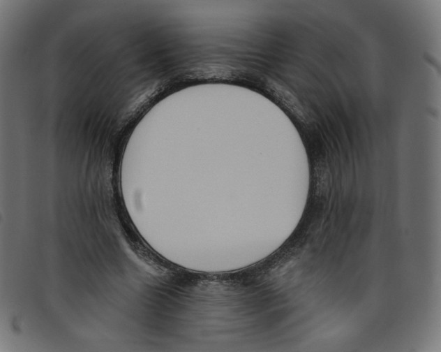 X0000098110538200804251430