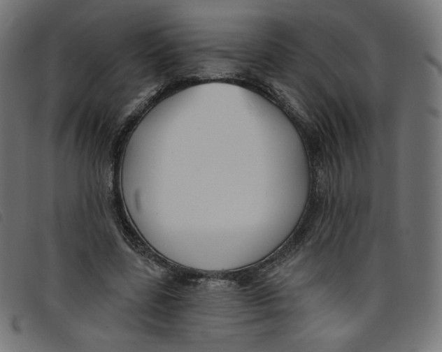 X0000098110539200804251430