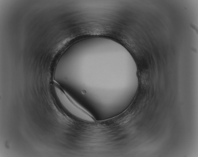 X0000098110540200804251430