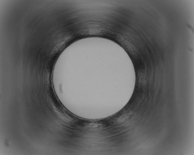 X0000098110542200804251430