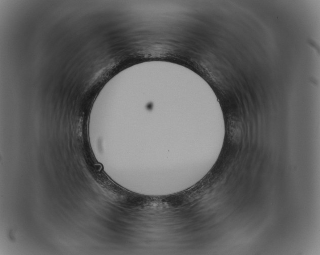 X0000098110543200804251430