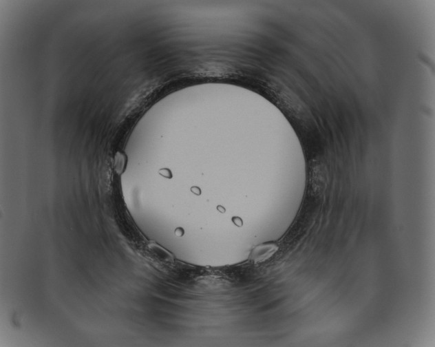 X0000098110544200804251430