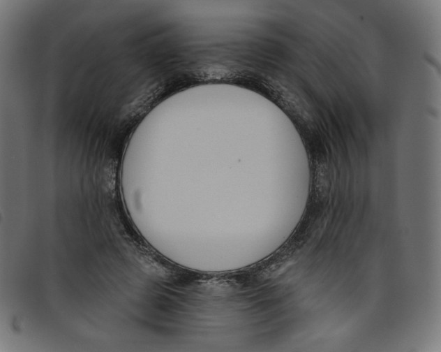 X0000098110545200804251430