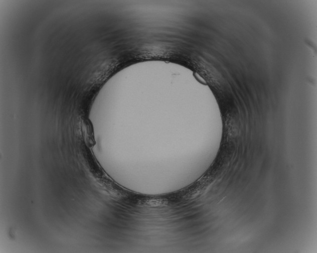 X0000098110546200804251430