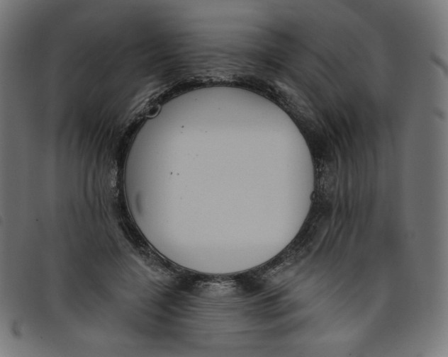 X0000098110548200804251430