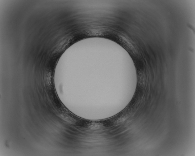 X0000098110549200804251430