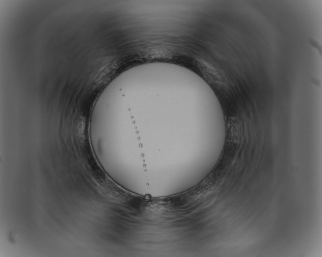 X0000098110550200804251430