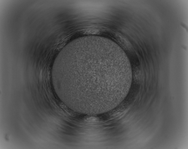 X0000098110551200804251430