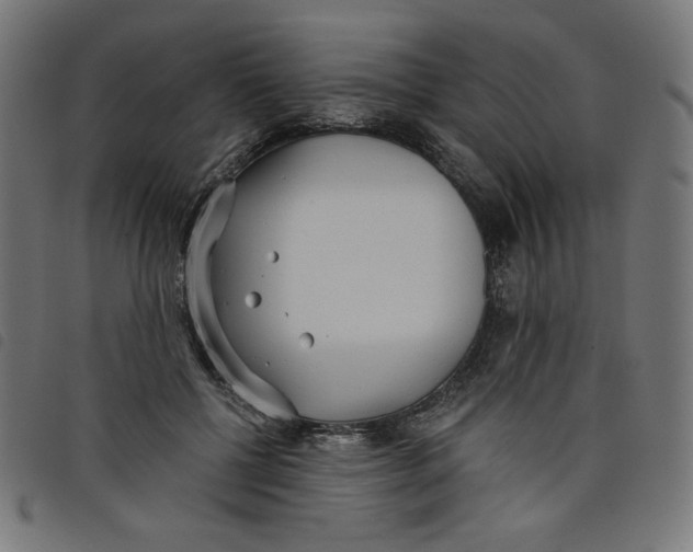 X0000098110552200804251430