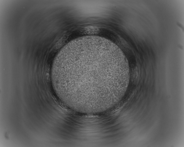 X0000098110553200804251430