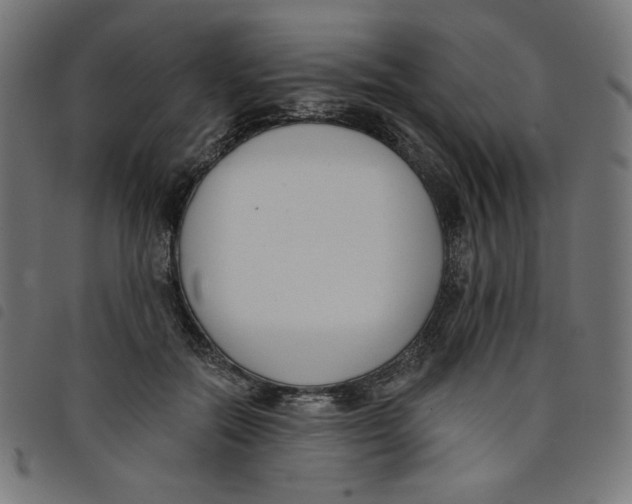 X0000098110554200804251430