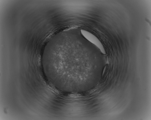 X0000098110556200804251430