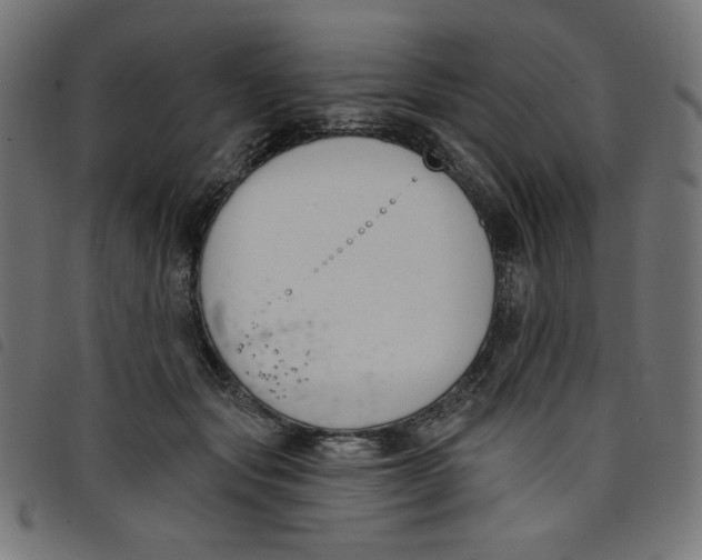 X0000098110557200804251430