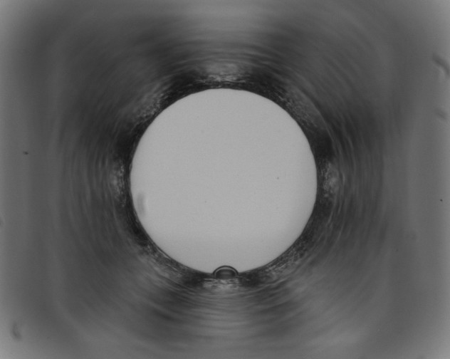 X0000098110559200804251430