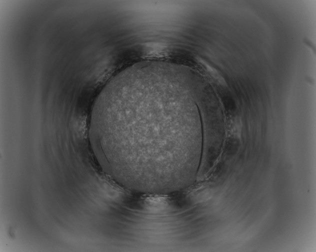 X0000098110560200804251430