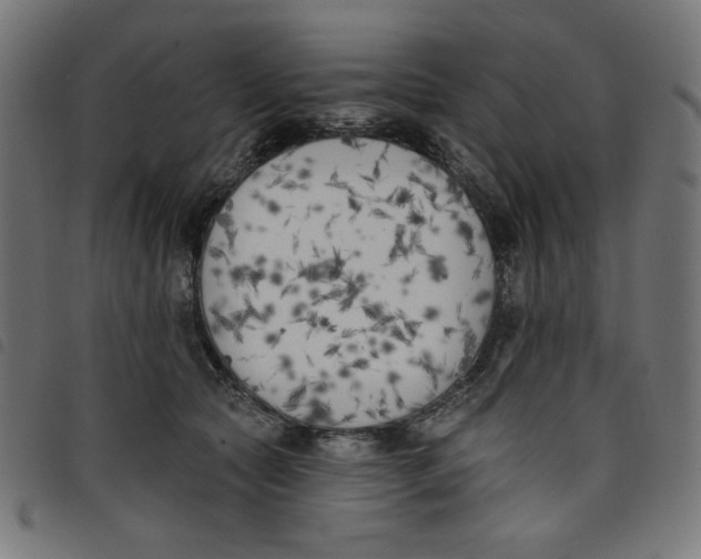 X0000098110561200804251430