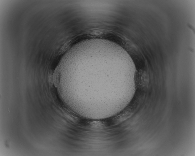 X0000098110562200804251430