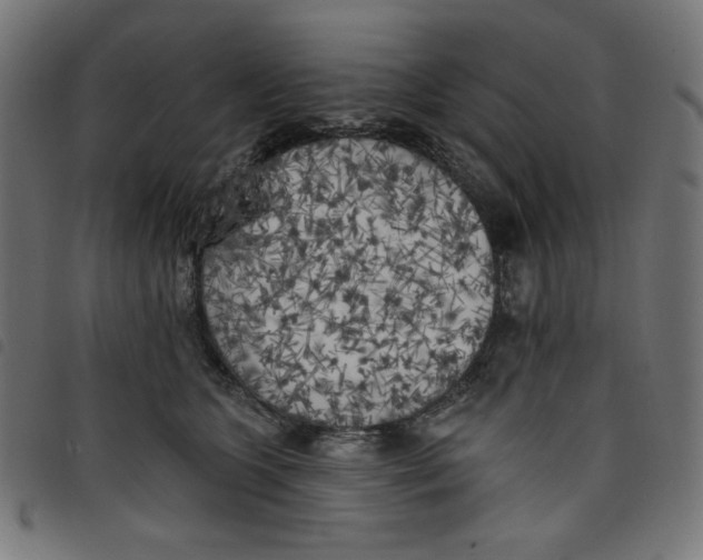 X0000098110563200804251430