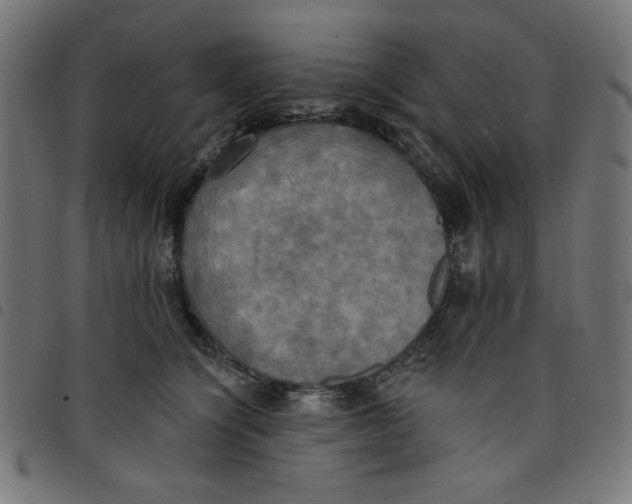 X0000098110564200804251430