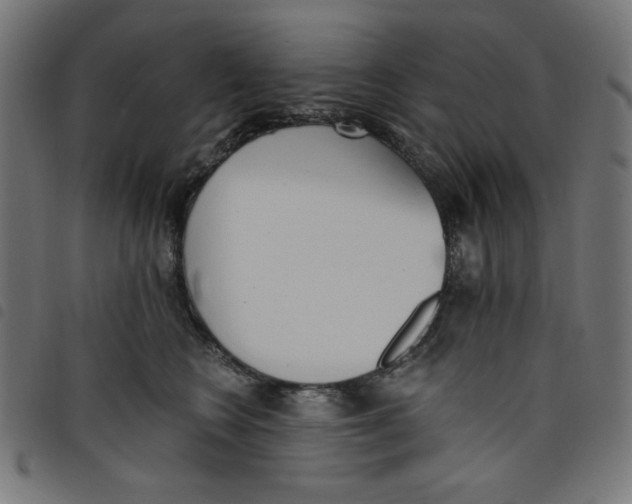 X0000098110566200804251430