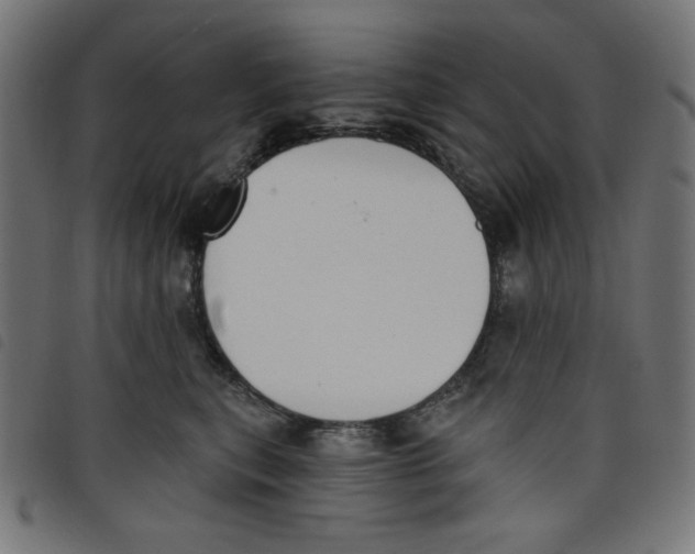 X0000098110567200804251430