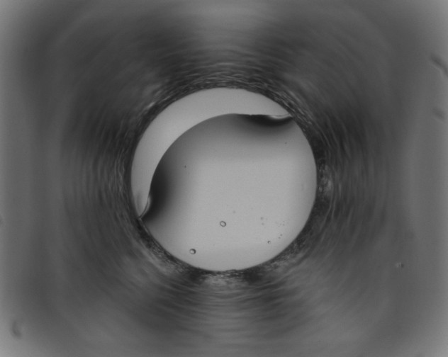 X0000098110568200804251430