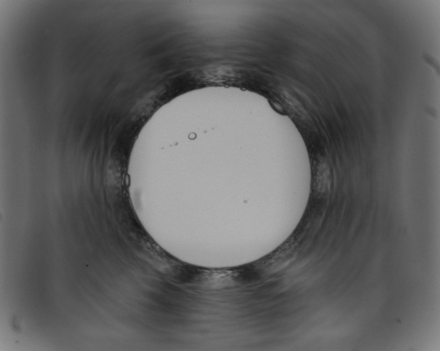 X0000098110569200804251430