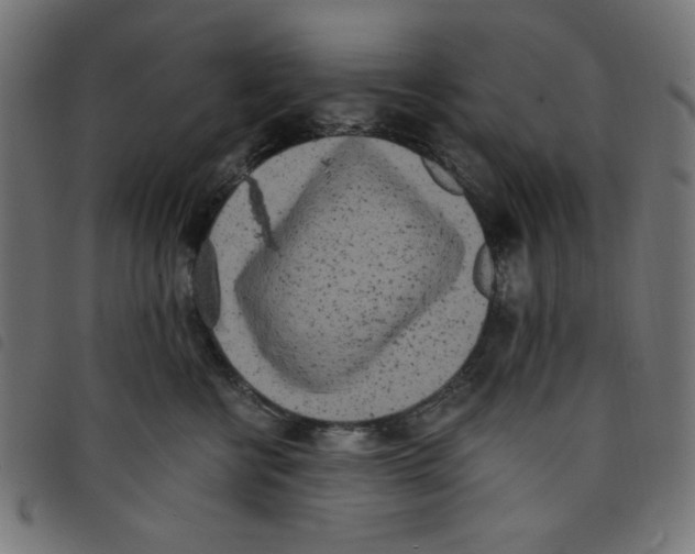 X0000098110570200804251430