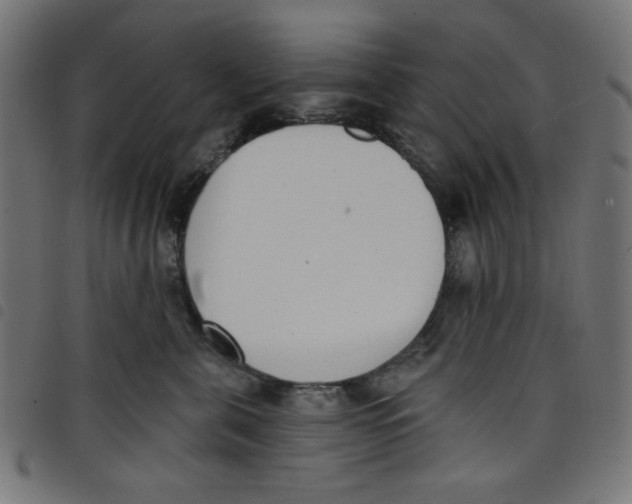 X0000098110571200804251430