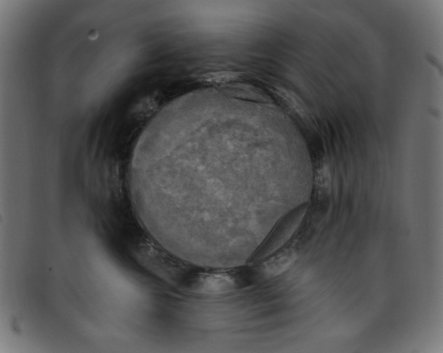 X0000098110572200804251430