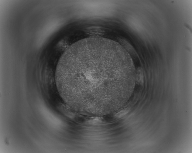 X0000098110573200804251430