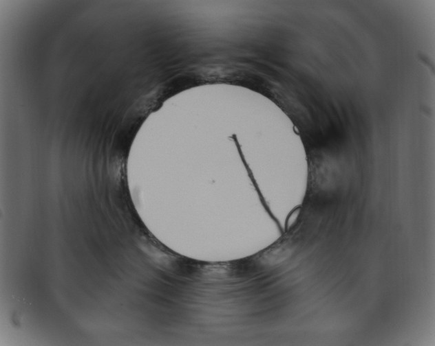 X0000098110574200804251430