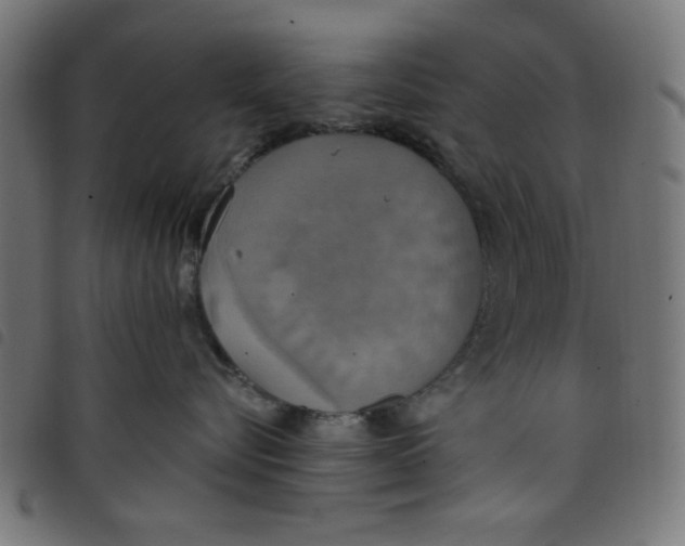 X0000098110576200804251430