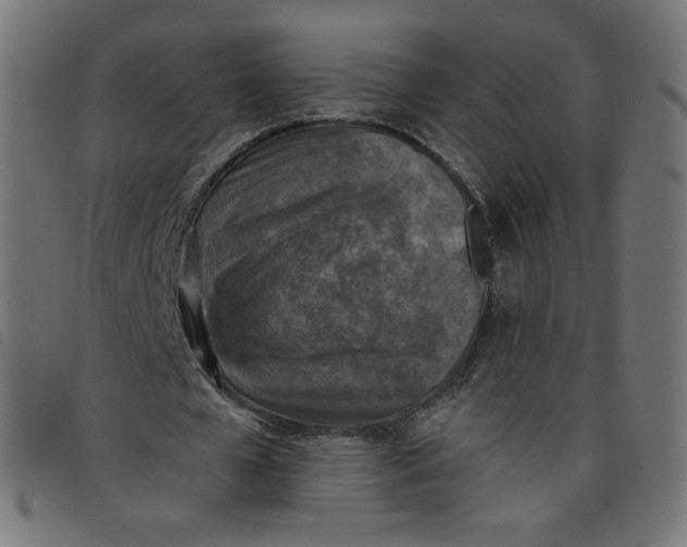 X0000098110577200804251429