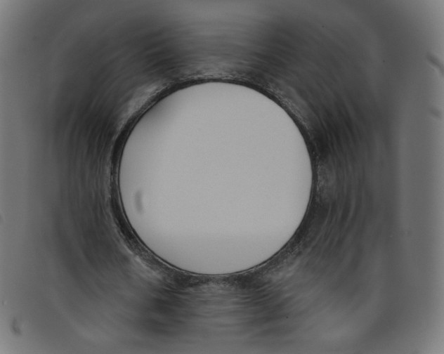 X0000098110578200804251429