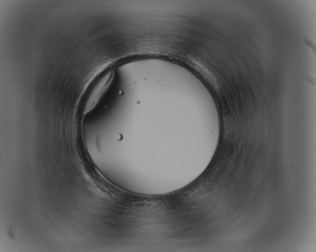 X0000098110580200804251429