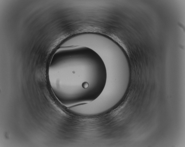 X0000098110581200804251429