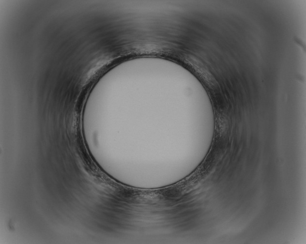 X0000098110583200804251429