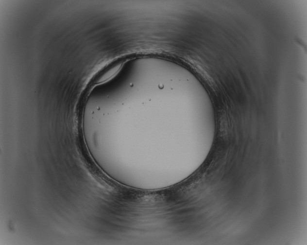 X0000098110584200804251429